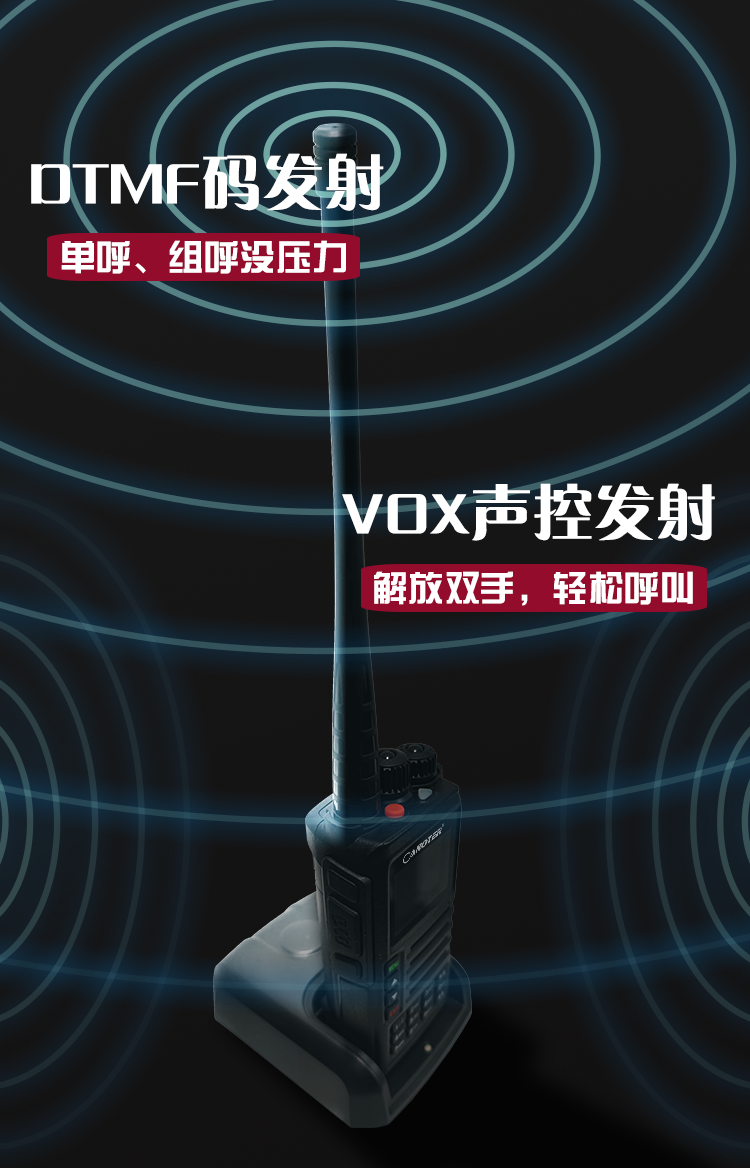7988 - 广东锐格信息技术科技股份有限公司